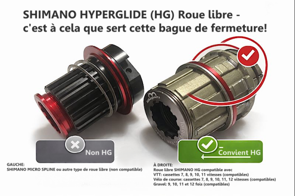 SHIMANO HYPERGLIDE Freilauf (rechts) – kompatibel mit diesem Lockring