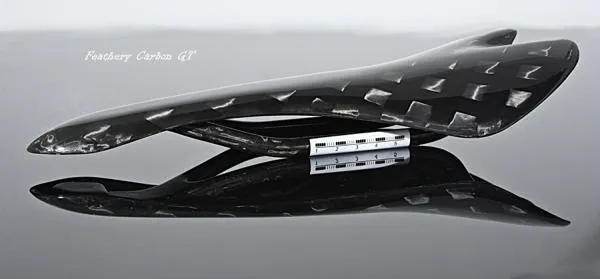 Feathery Carbon Sattel GT - 12K Design.